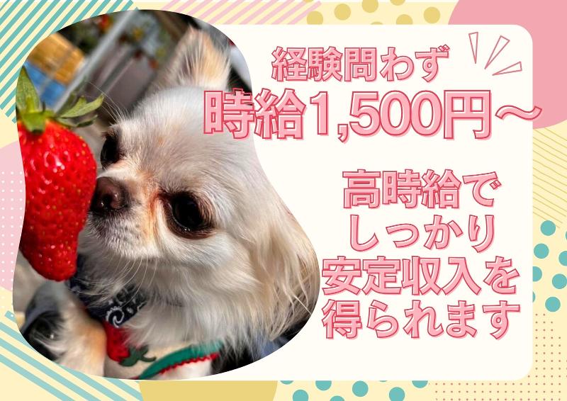 株式会社comfortのアルバイト・バイト求人情報-02