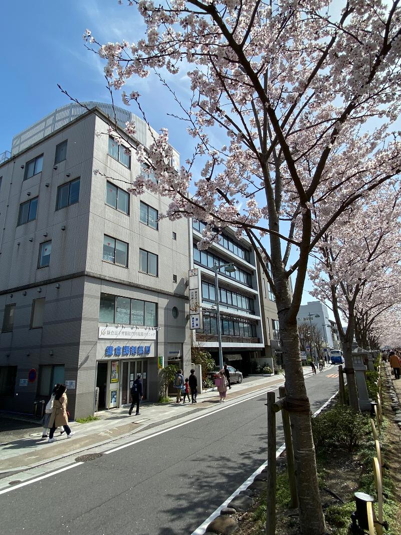 鎌倉逗子胃腸肛門内視鏡クリニックのアルバイト・バイト求人情報-02