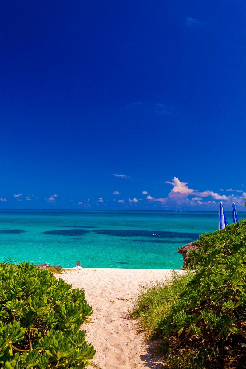 ぬちぐすい株式会社の求人・転職情報