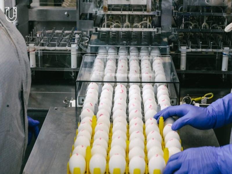 株式会社プライムのアルバイト・バイト求人情報-02