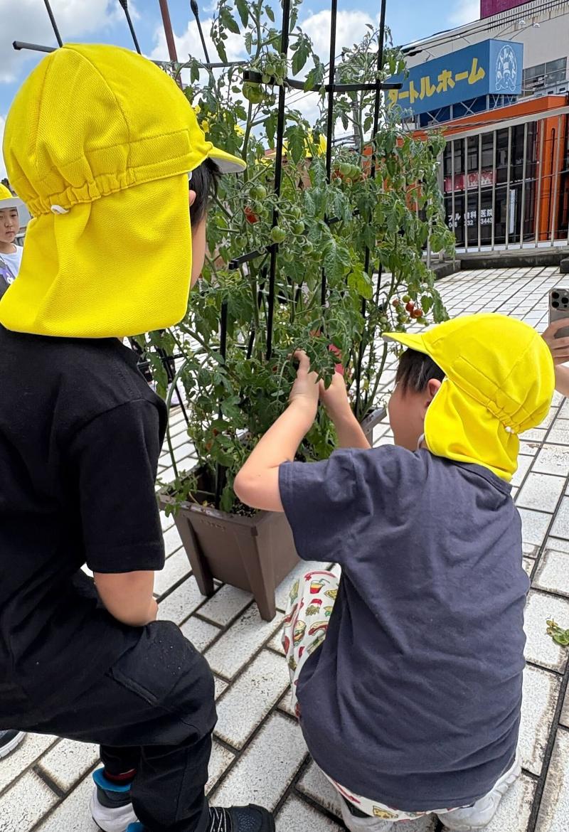 株式会社キッズトライのアルバイト・バイト求人情報-02