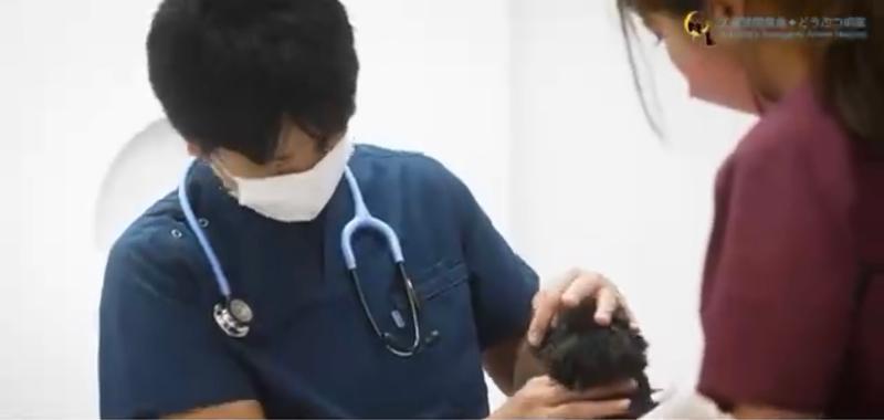 久喜夜間救急どうぶつ病院のアルバイト・バイト求人情報-03