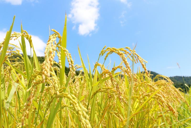 株式会社林営農センターのアルバイト・バイト求人情報-02