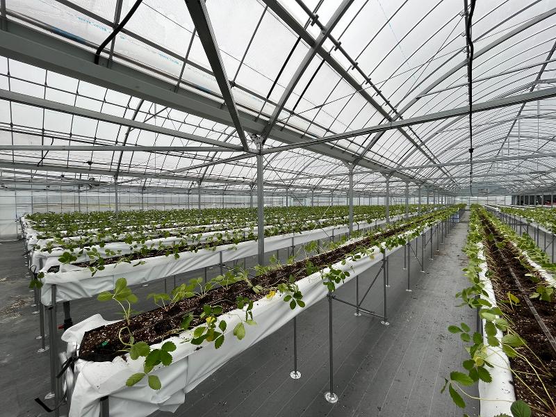 株式会社フジテックスの派遣求人情報