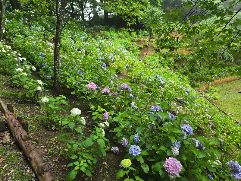 (株)造園一のアルバイト・バイト求人情報-05