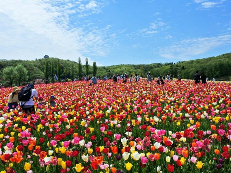 国営越後丘陵公園のアルバイト・バイト求人情報-02