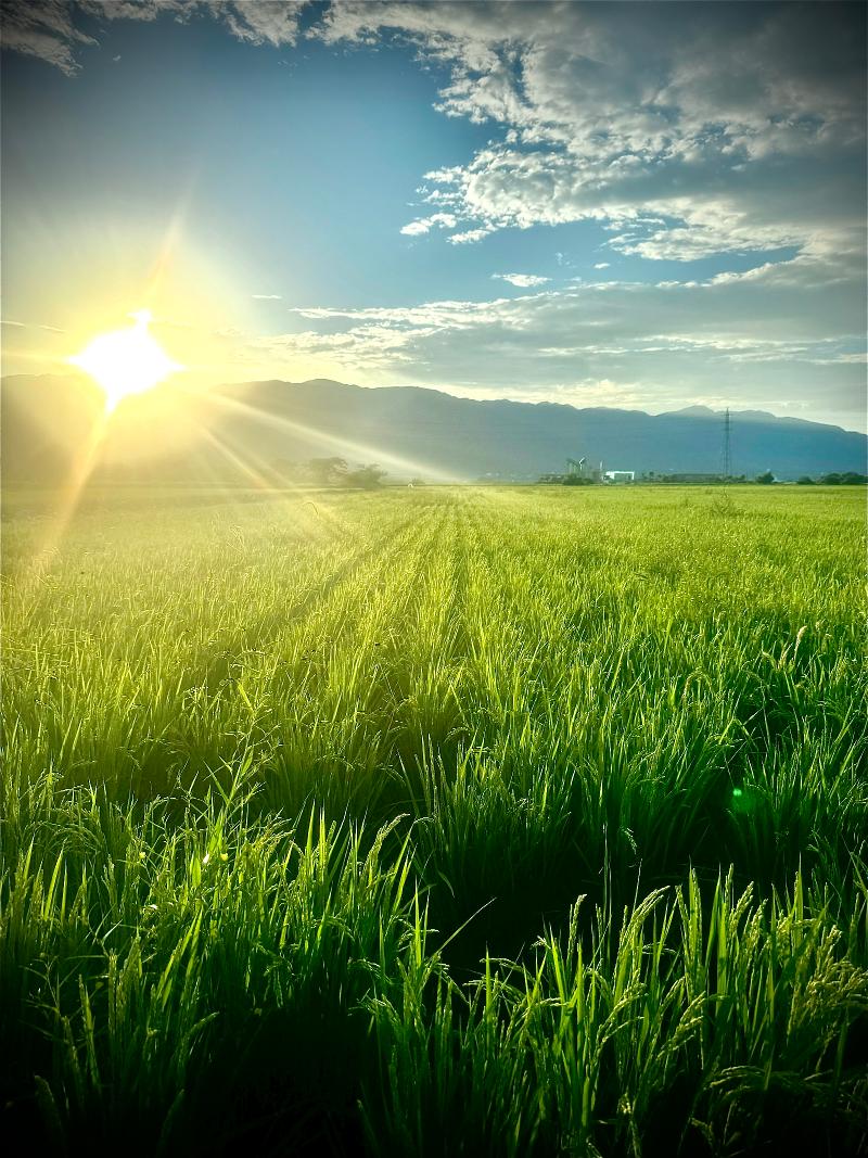 株式会社SUN AND NORFの求人・転職情報