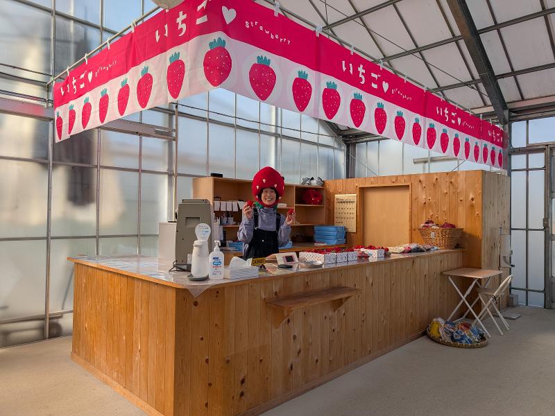 ICHIGOYA・SUNの派遣求人情報