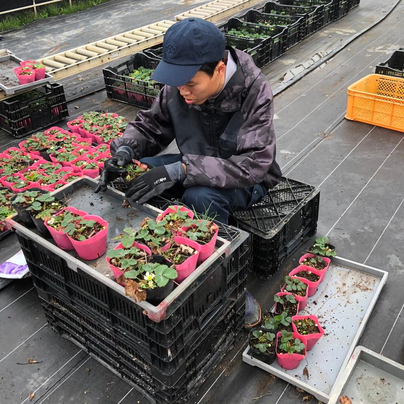 株式会社　心和-0001の求人・転職情報