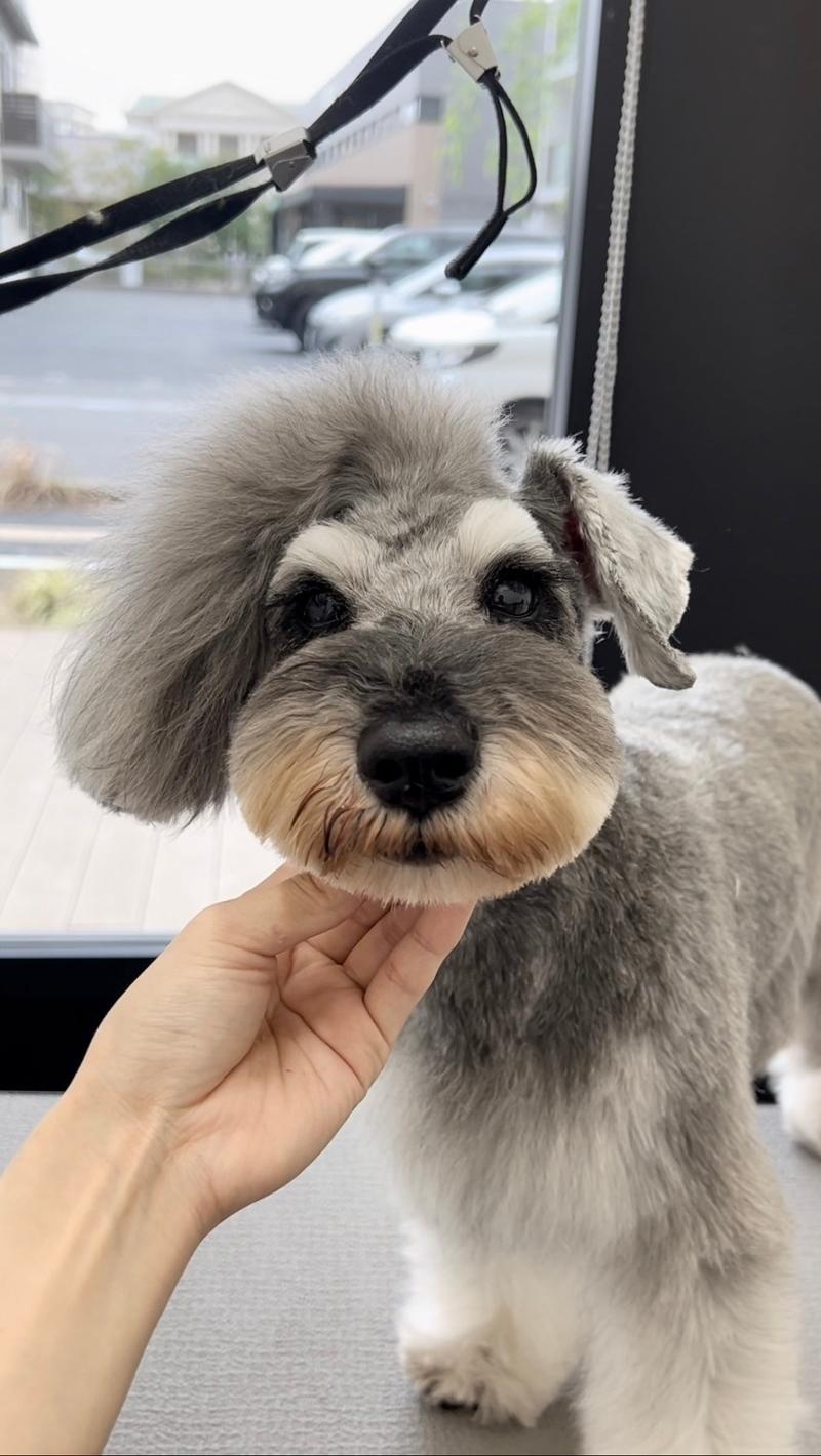 ソプラ銀座株式会社のアルバイト・バイト求人情報-05