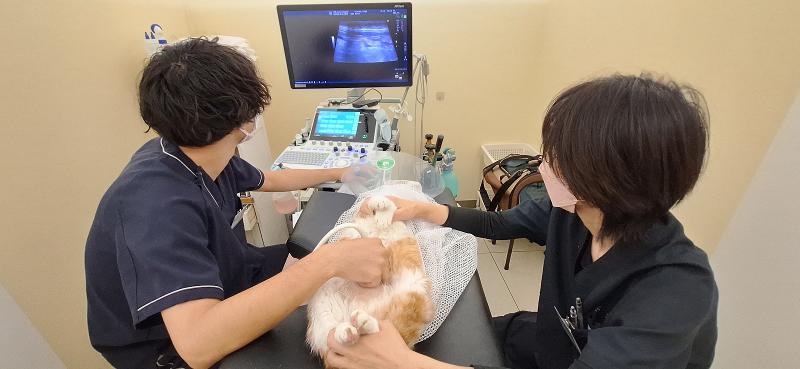 TNR日本動物福祉病院のアルバイト・バイト求人情報-04