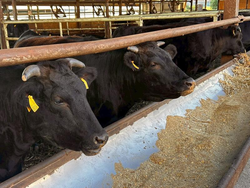 株式会社そうしんアグリのアルバイト・バイト求人情報-02