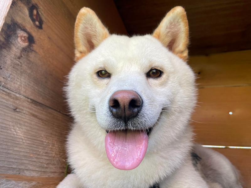 株式会社キッズ・コムのアルバイト・バイト求人情報-03