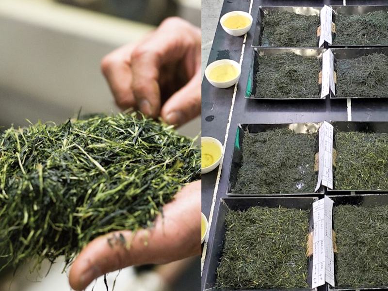 池田製茶株式会社のアルバイト・バイト求人情報-04