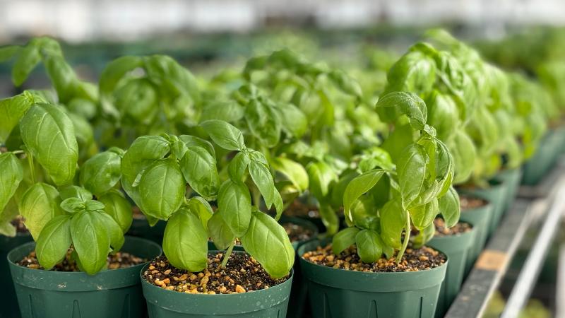 医療法人社団 亮正会のアルバイト・バイト求人情報-04