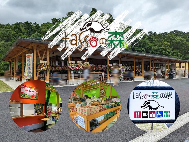 日本緑化株式会社・tassoの森のアルバイト・バイト求人情報-02