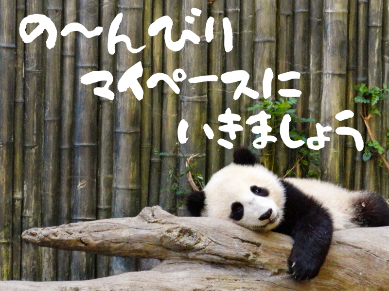 株式会社ワールドインテックのアルバイト・バイト求人情報-02