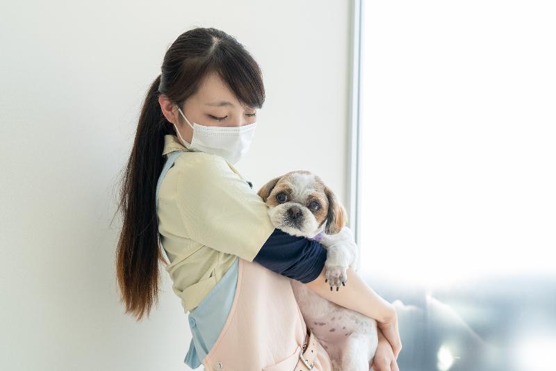 AMAペットライフケア株式会社　あま動物病院のアルバイト・バイト求人情報-03