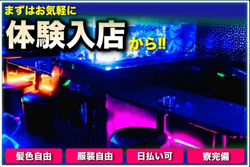 LOTTIのアルバイト・バイト求人情報-03