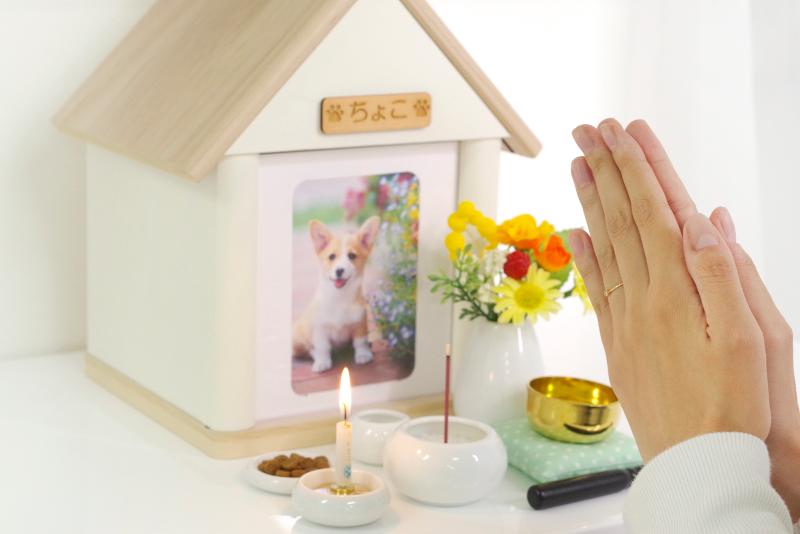 株式会社インラビングメモリーの求人情報