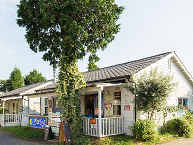 ひまわり保育園ジョンソンタウン園/りあんRIAN(株)のアルバイト・バイト求人情報-03