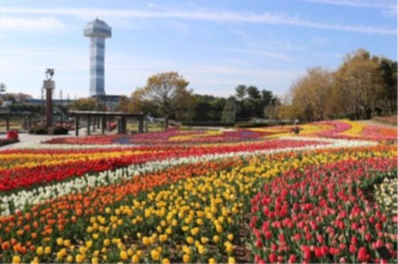 国土交通省 中部地方整備局のアルバイト・バイト求人情報-03