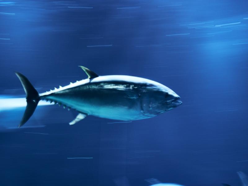 LH株式会社-0001の求人・転職情報