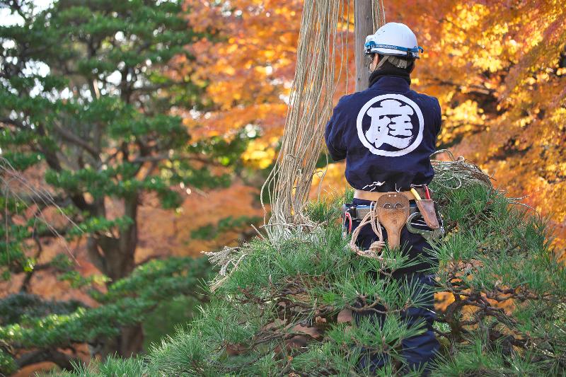 グリーンライフイノベーション(株)の求人・転職情報