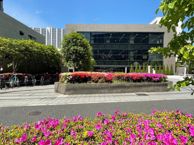 特定非営利活動法人国際交流学級の求人・転職情報