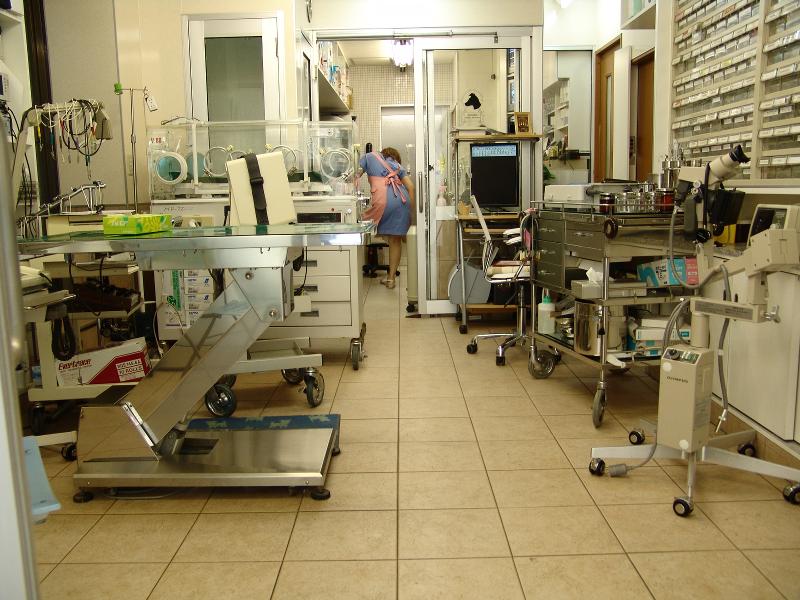 有限会社マイスターの求人・転職情報