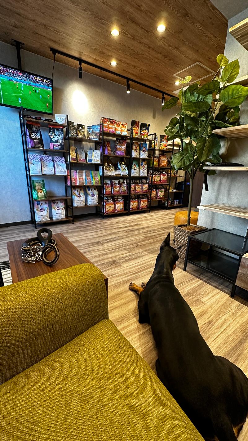 リベPetのアルバイト・バイト求人情報-03