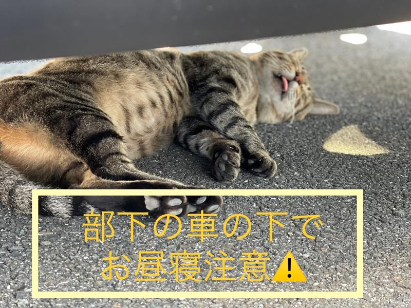 株式会社 　真宮のアルバイト・バイト求人情報-04