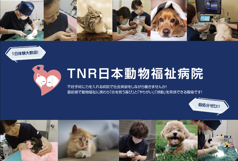 TNR日本動物福祉病院のアルバイト・バイト求人情報-05