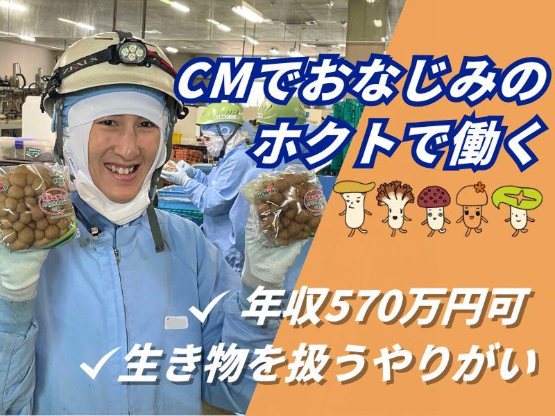 ホクト株式会社の求人・転職情報