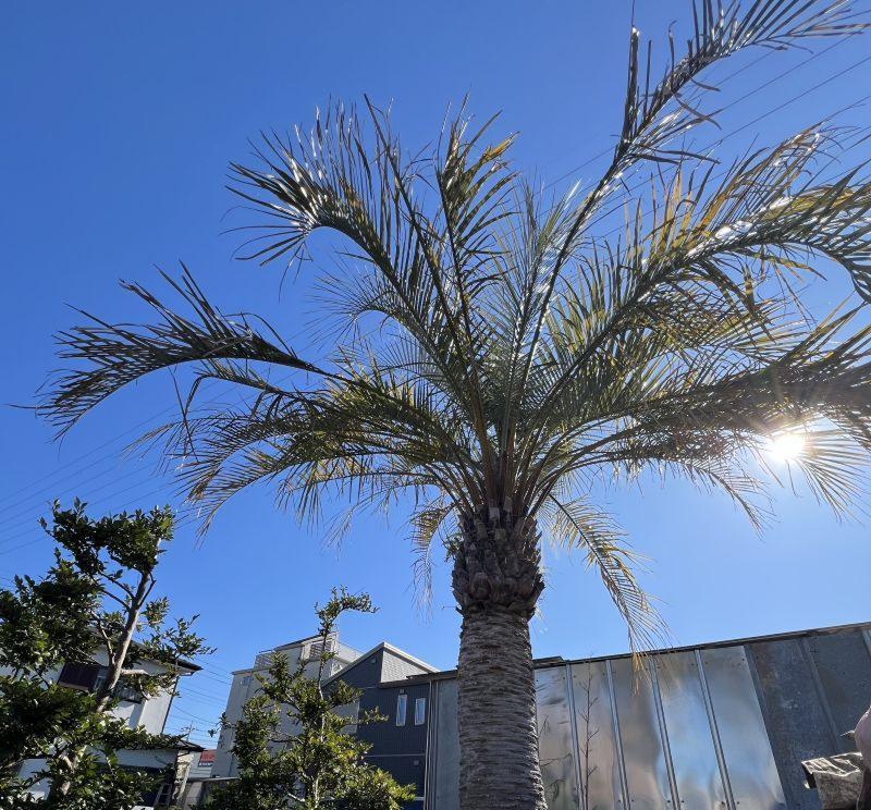 株式会社徳寿園-0002の求人・転職情報