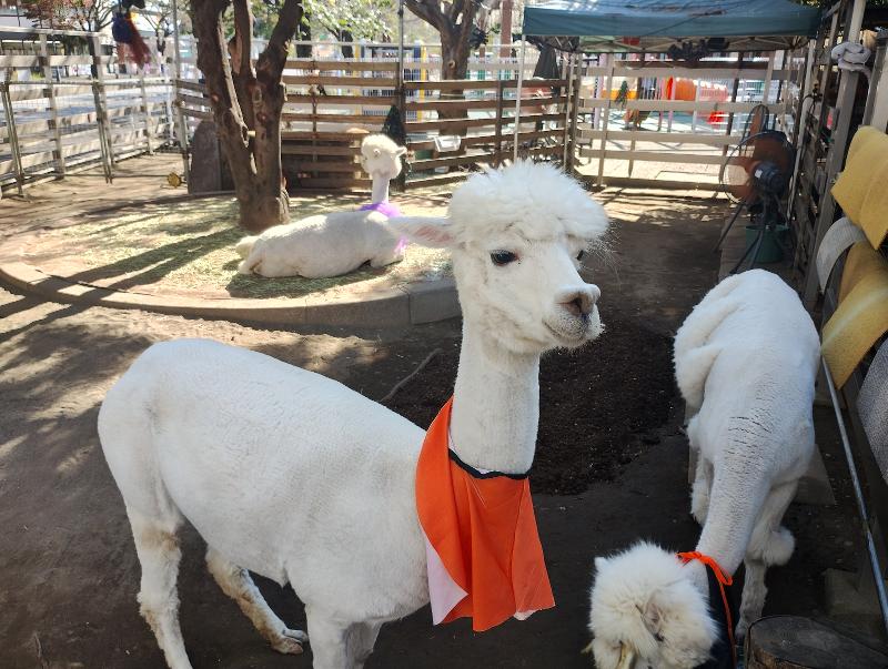 株式会社エスバーの求人・転職情報