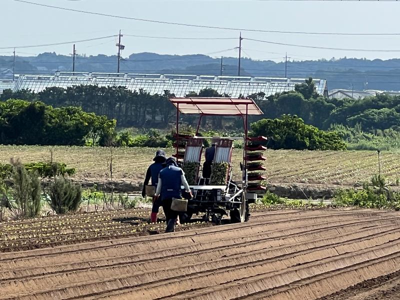 有限会社 光部牧場の派遣求人情報