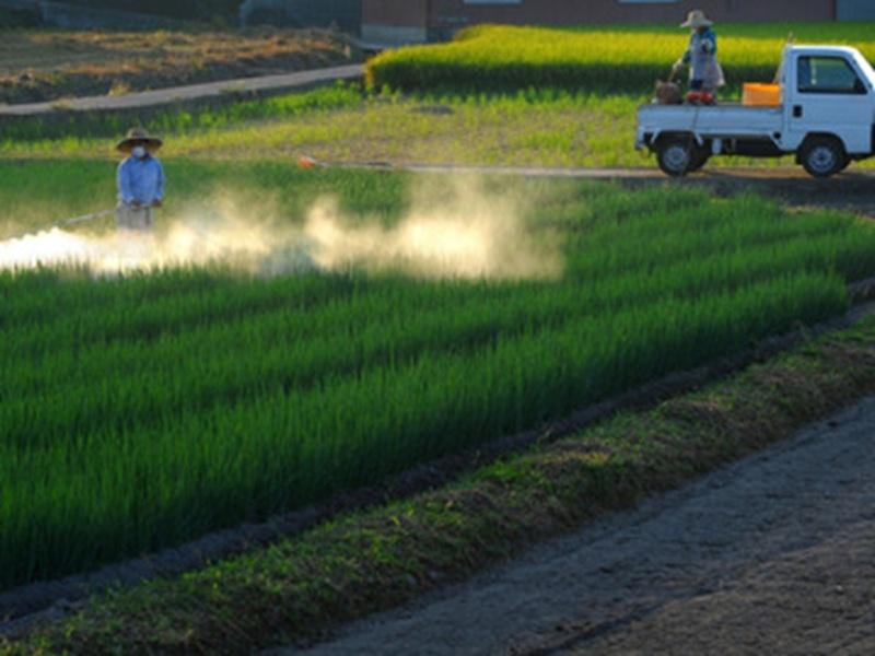 株式会社ケーエスの求人・転職情報