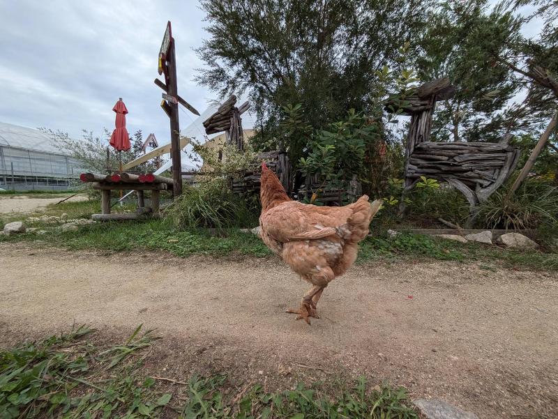 株式会社ユニバーサル園芸社のアルバイト・バイト求人情報-04