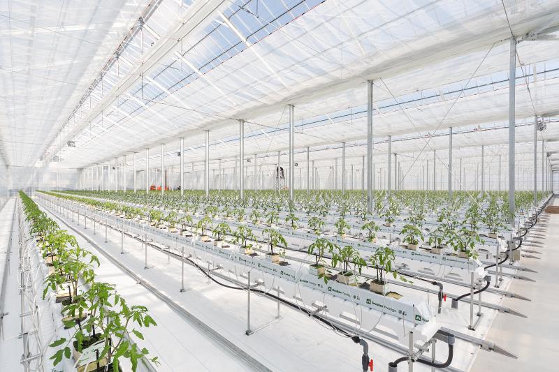 (株)ゼブラグリーンズのアルバイト・バイト求人情報-04