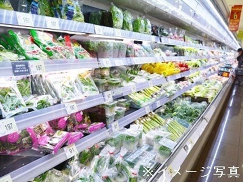 株式会社ファーマインドの求人・転職情報