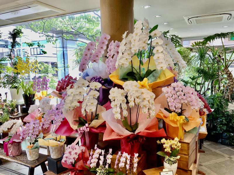 株式会社　花治のアルバイト・バイト求人情報-02