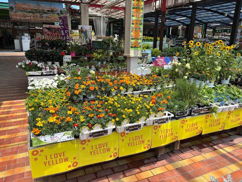 株式会社ホームセンターアグロのアルバイト・バイト求人情報-05