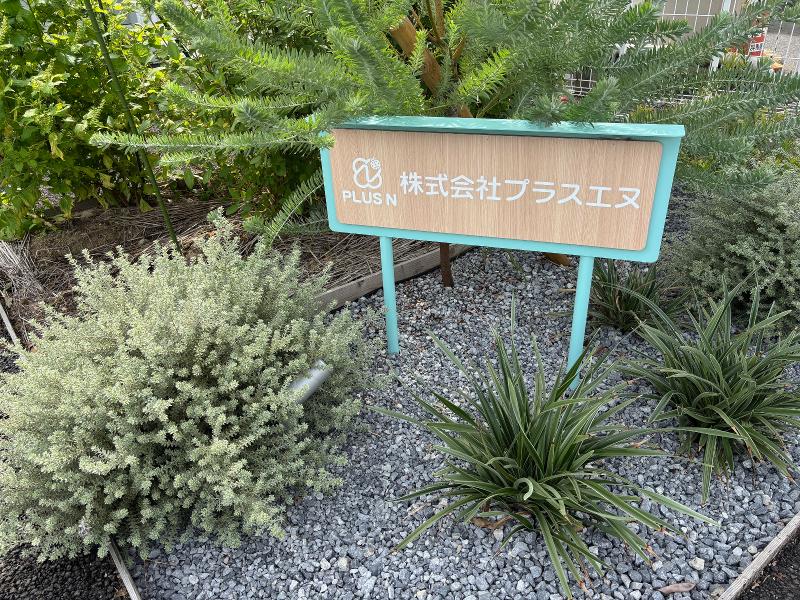 株式会社プラスエヌの求人・転職情報
