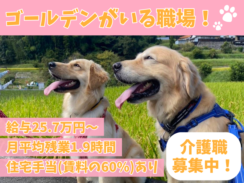 社会福祉法人博光福祉会の求人・転職情報