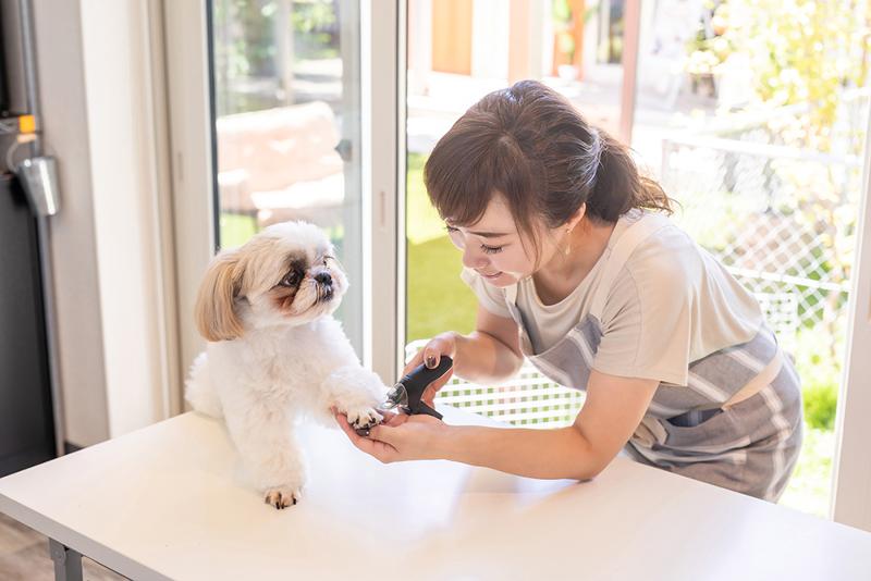 株式会社スポカラのアルバイト・バイト求人情報-03