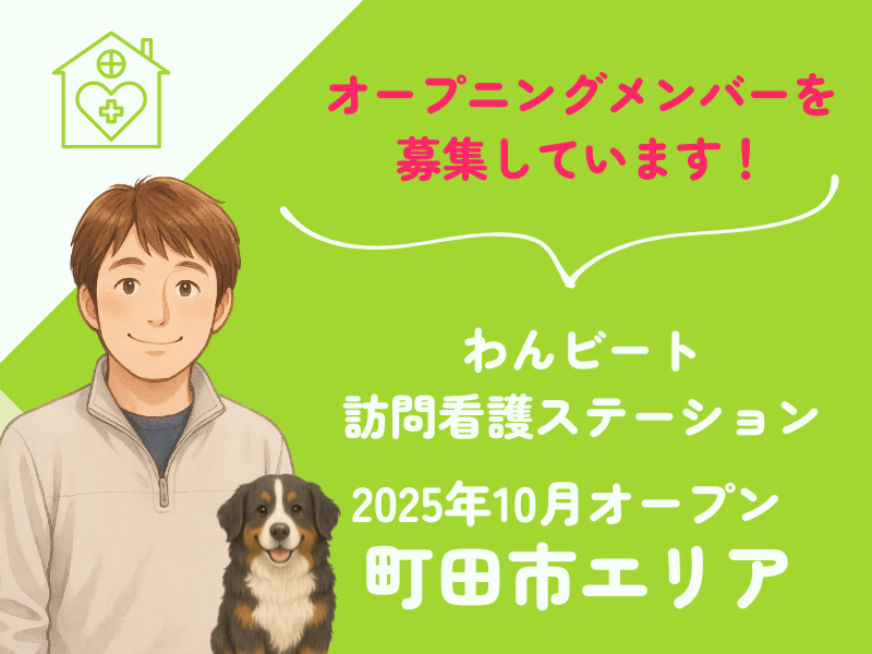 わんビート合同会社の求人・転職情報