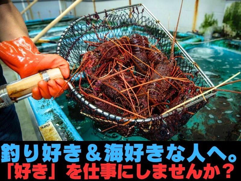 株式会社マルヨシの求人情報