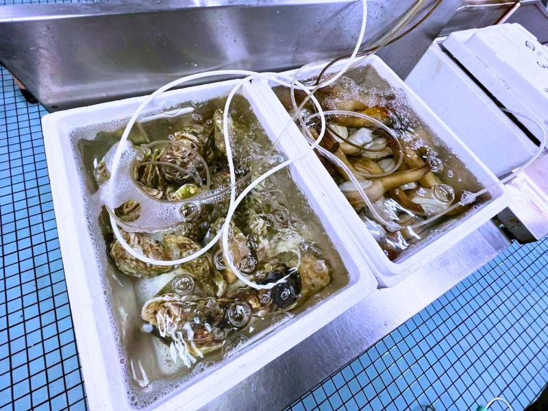 株式会社岡田生魚店の求人・転職情報