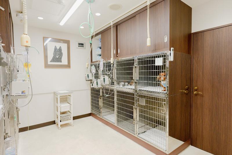 さくら動物病院(VCA Japan 合同会社)のアルバイト・バイト求人情報-04